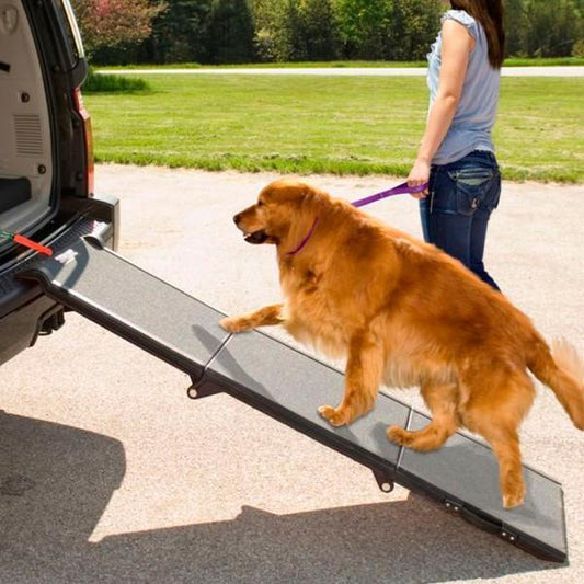 Pet Gear Tri-Fold Pet Ramp