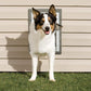 PetSafe® Alluminum Wall Entry Pet Door
